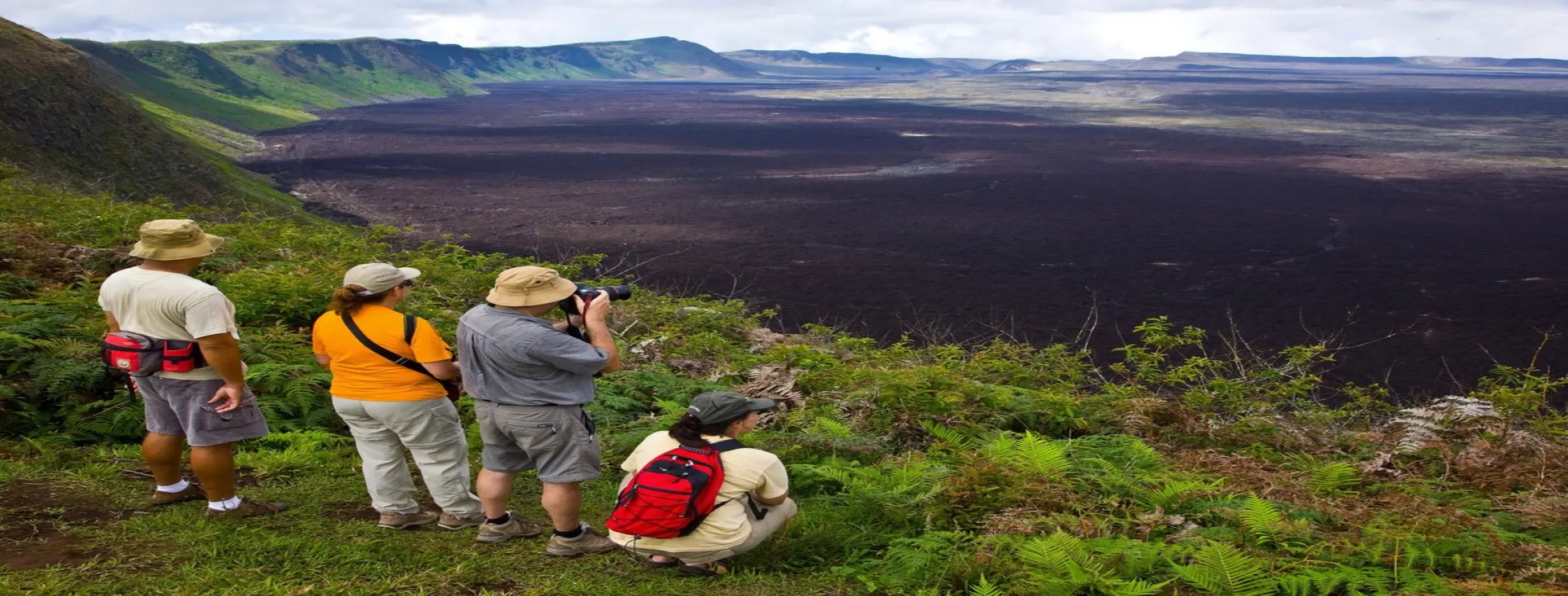 Image for Ecotourism Hub